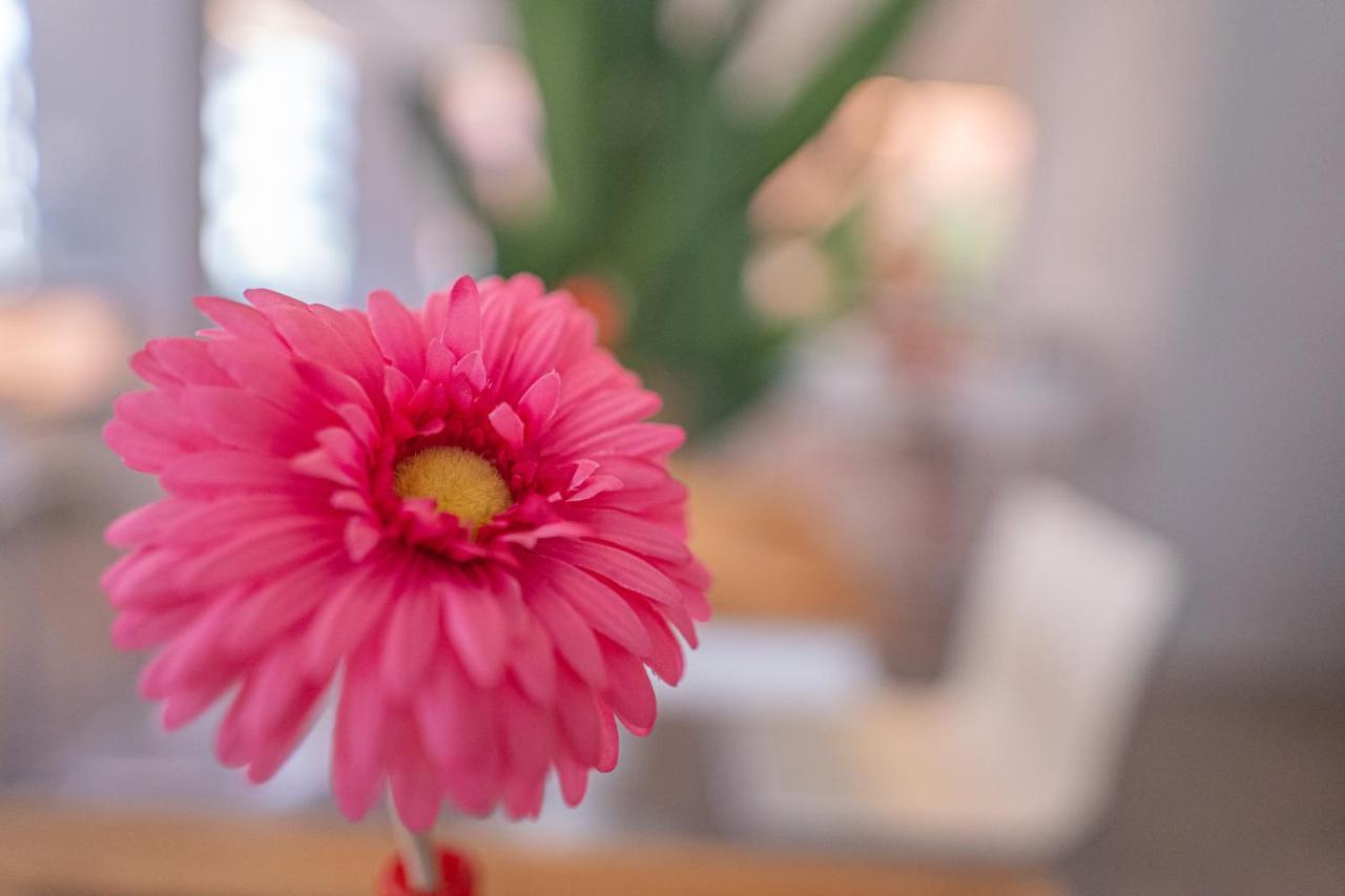 Design Hotel Astra B&B Misano Adriatico Exteriér fotografie